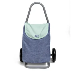 Carrito de la compra de juguete