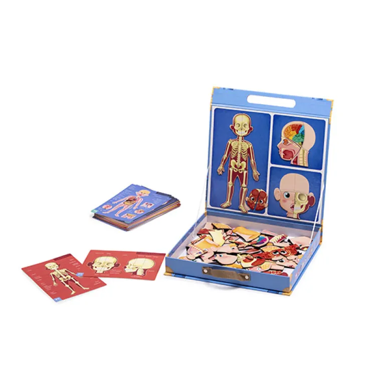 Human body magnético multi lenguaje