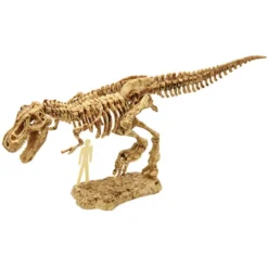 Kit de excavación tyranosaurus