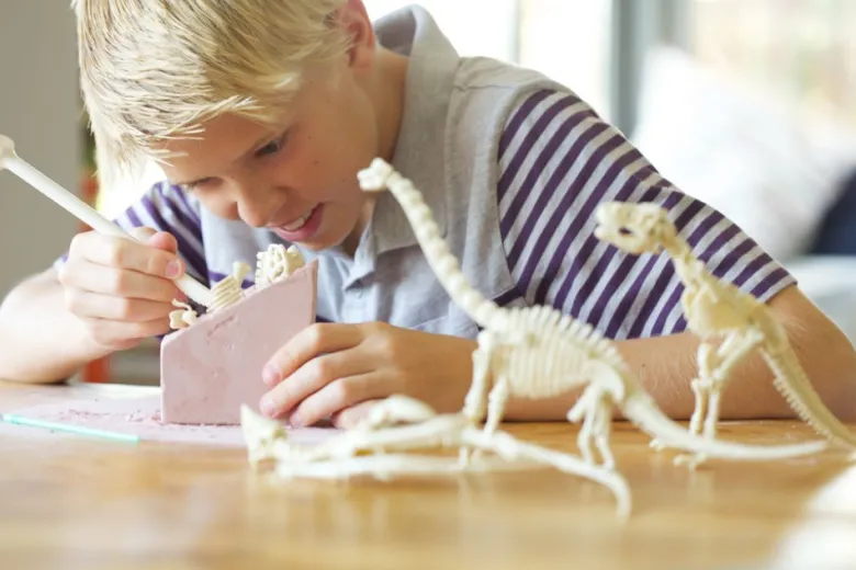 Kit Geológico de un Triceratops – Kidz Labs