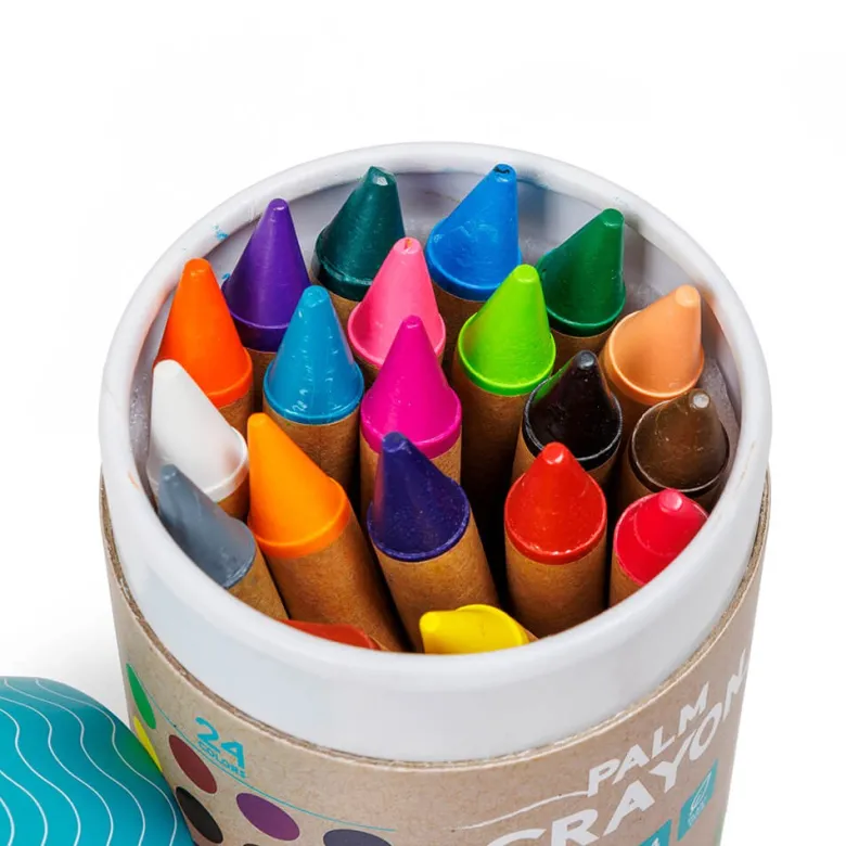 Lápices de cera gruesos de 24 colores – Palm Crayons