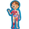 Puzle del cuerpo humano