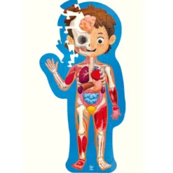 Puzle del cuerpo humano